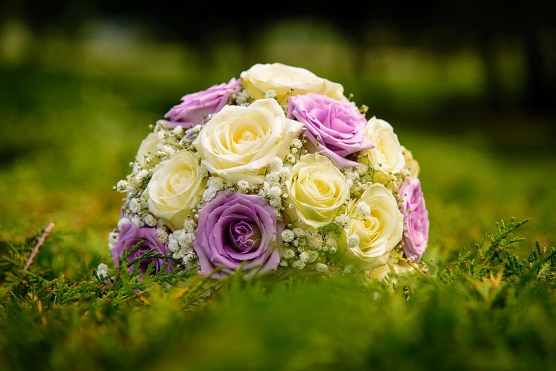 Mauve and Sage Wedding Palette
